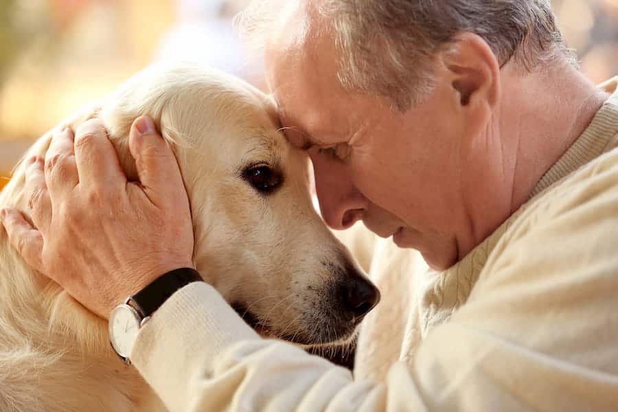 Senior man and big dog closeup