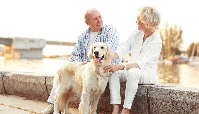 senior couple on a calm walk with their dog