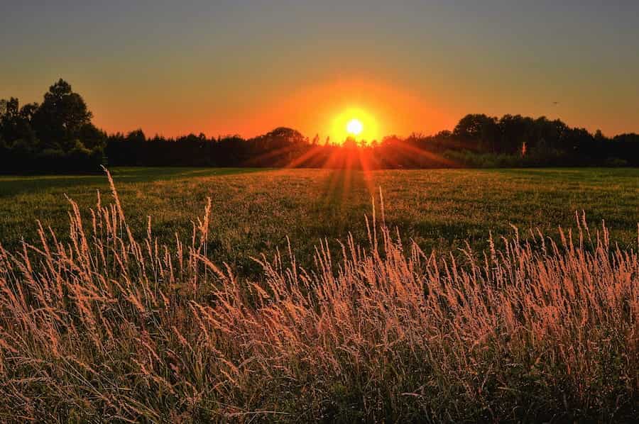 sunset over a lush green landscape