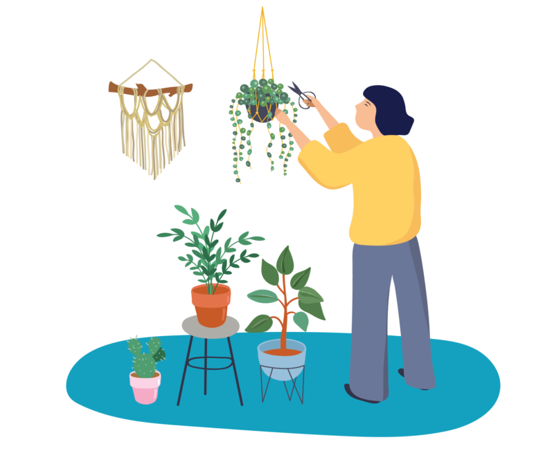 person cutting plants