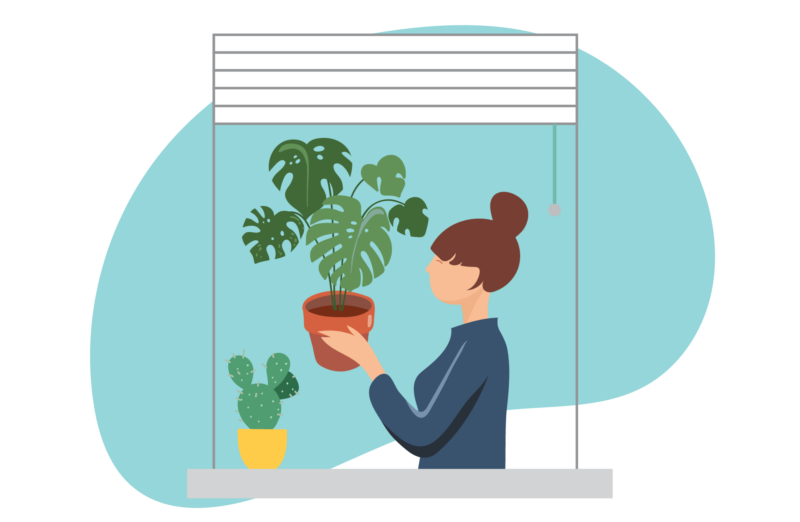 person with plants and window